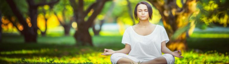 widenidrayoga-768x217